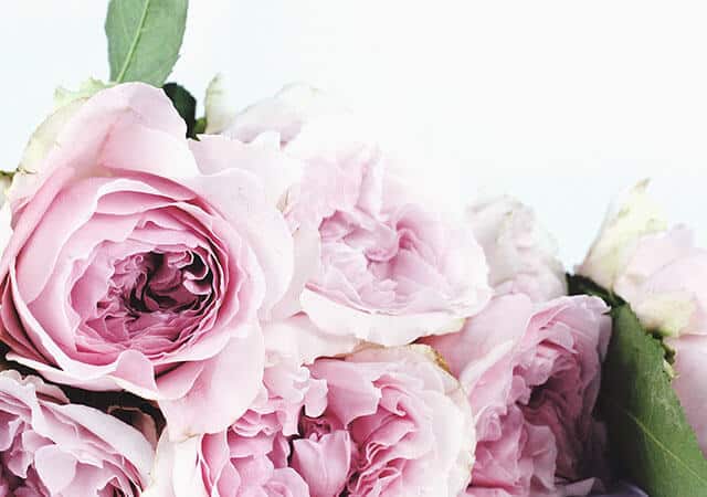 gallery-05-free-img Gallery Image